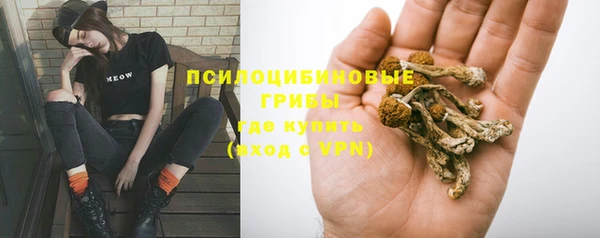 тгк Медногорск
