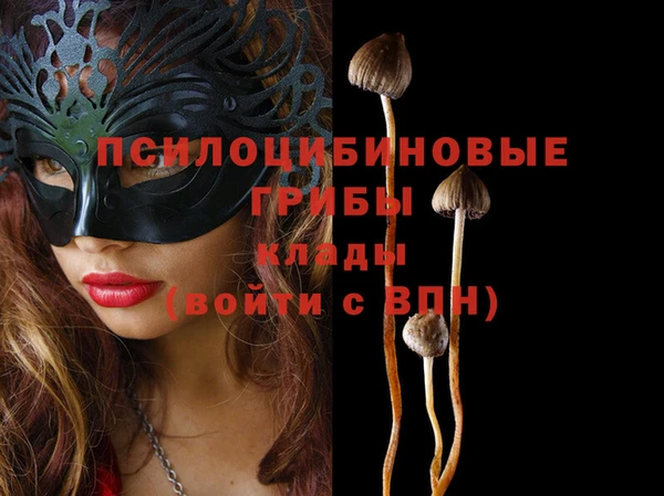 apvp Великий Новгород