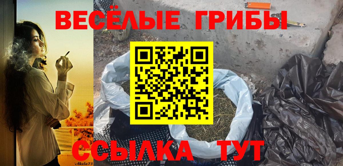 Псилоцибиновые грибы MAGIC MUSHROOMS  Псилоцибиновые грибы мицелий  Вход с VPN  Кинель 