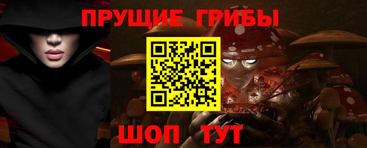 Галлюциногенные грибы прущие грибы Кинель