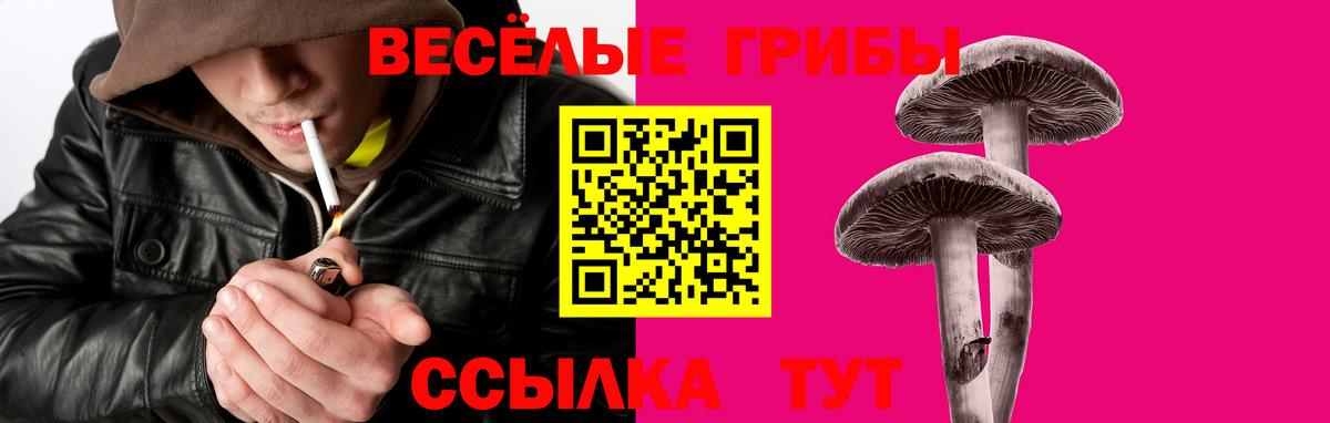 Галлюциногенные грибы мицелий  Псилоцибиновые грибы мицелий  где продают   Кинель 